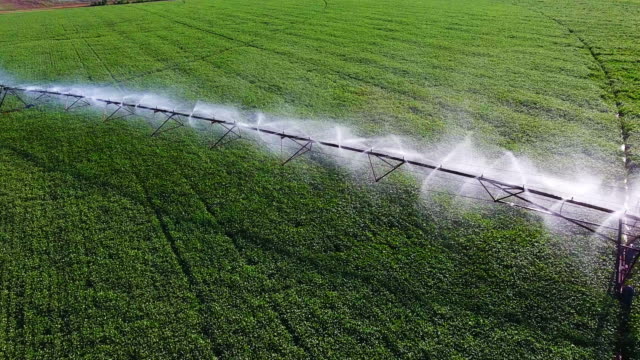 Industrial sprinkler watering crops inn field. Industrial sprinkler watering crops inn field.